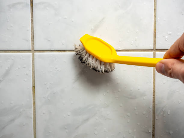 Home Mold Removal in Johnsonville, SC