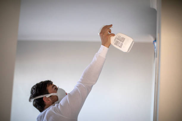 Best Mold Testing and Removal  in Johnsonville, SC